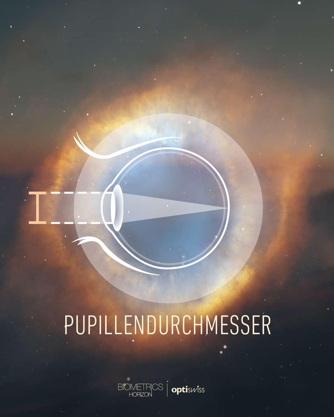 Schematische Darstellung eines Auges mit einem Lichtkegel und einer vertikalen Messskala an der Pupille zur Messung des Pupillendurchmessers. Beschriftung: Pupillendurchmesser (Biometrics Horizon / Optiswiss).
